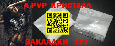 гашик Моздок