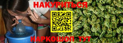 гашик Моздок