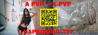 гашик Моздок