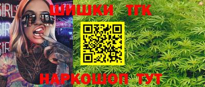 гашик Моздок