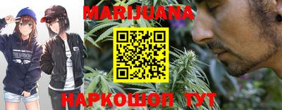 гашик Моздок
