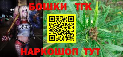 гашик Моздок