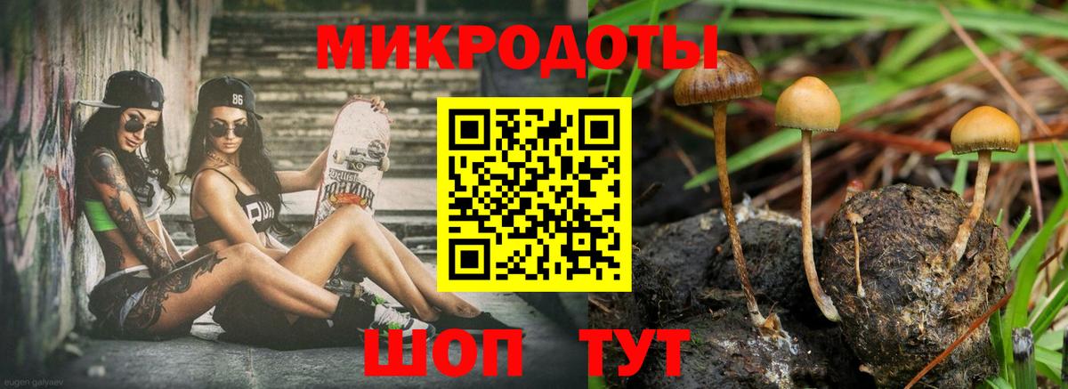 Соликамск  Псилоцибиновые грибы Psilocybe  Вход с VPN 