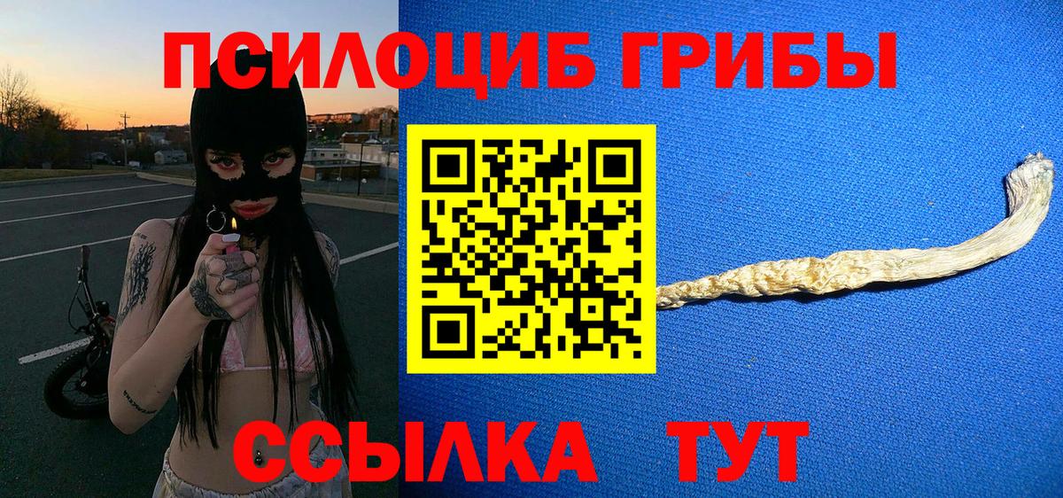 Галлюциногенные грибы Psilocybe Соликамск